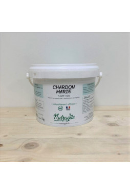 Chardon Marie - Nutragile