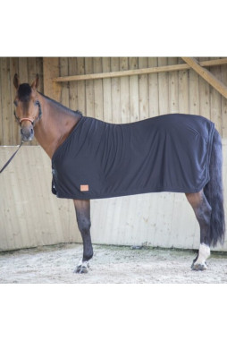 Chemise Séchante - Paddock