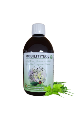 Mobility'eol - Essence of Life
