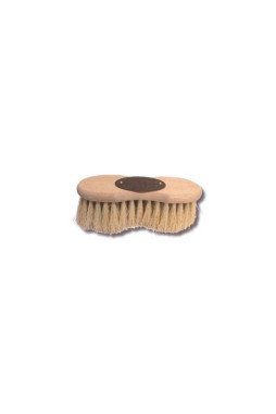 Brosse infini cactus - Borstiq Farm