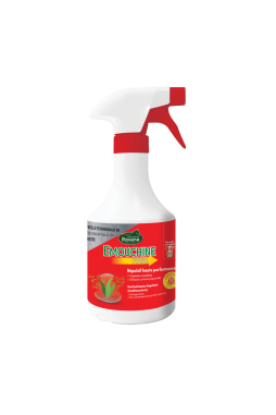 Emouchine Total - Ravene