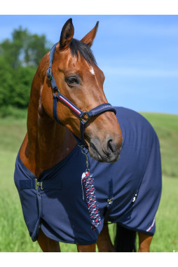 Licol & longe Yale - Tommy Hilfiger Equestrian